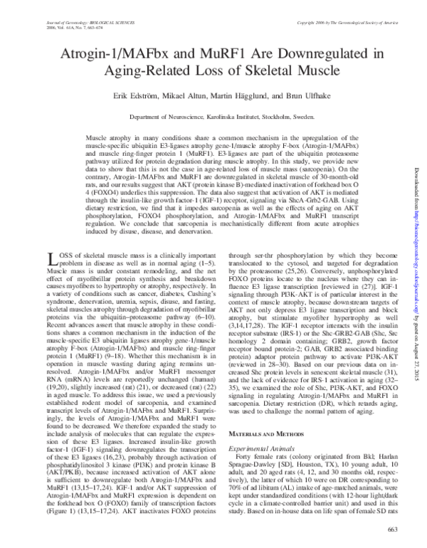 (PDF) Atrogin-1/MAFbx and MuRF1 Are Downregulated in Aging-Related Loss ...