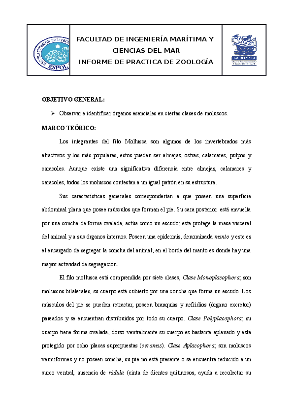 Essay on phylums 04 image