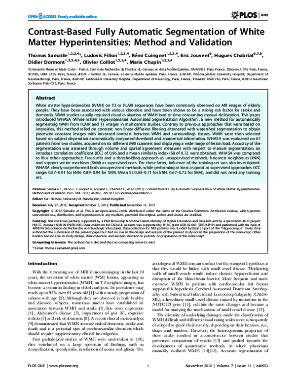 (PDF) Contrast-Based Fully Automatic Segmentation of White Matter ...