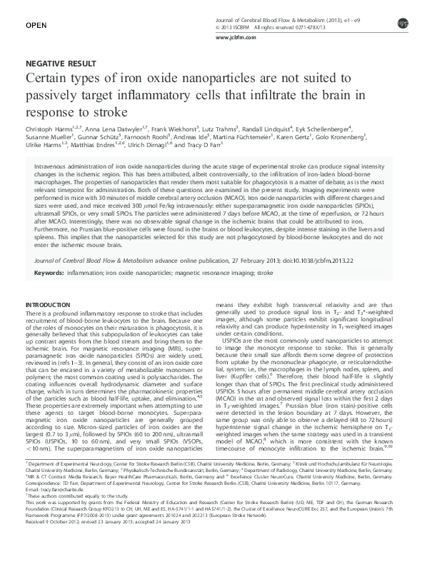 (PDF) Certain types of iron oxide nanoparticles are not suited to ...