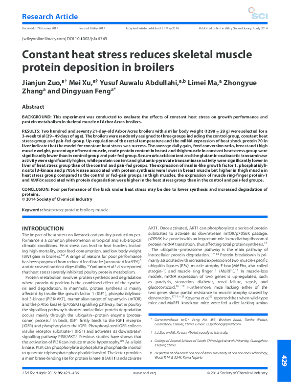 (PDF) Constant heat stress reduces skeletal muscle protein deposition ...