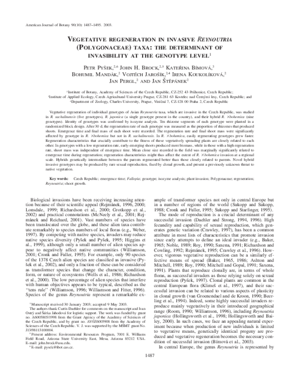(PDF) VEGETATIVE REGENERATION IN INVASIVE REYNOUTRIA (POLYGONACEAE ...