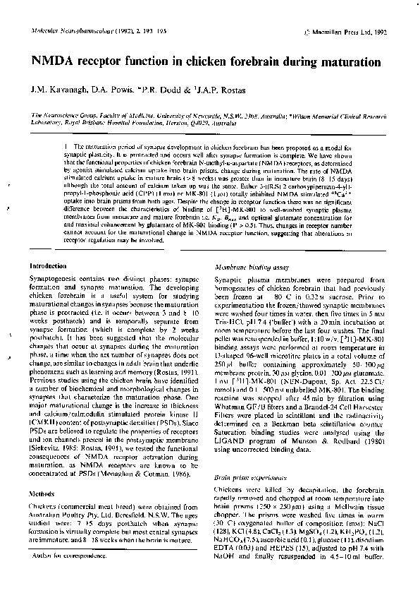 (PDF) NMDA receptor function in chicken forebrain during maturation