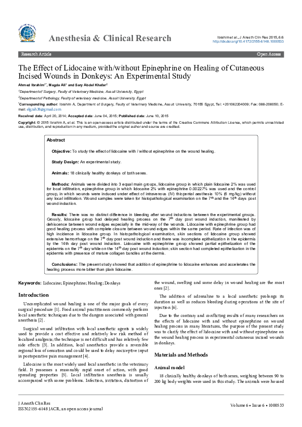 (PDF) The Effect of Lidocaine with/without Epinephrine on Healing of