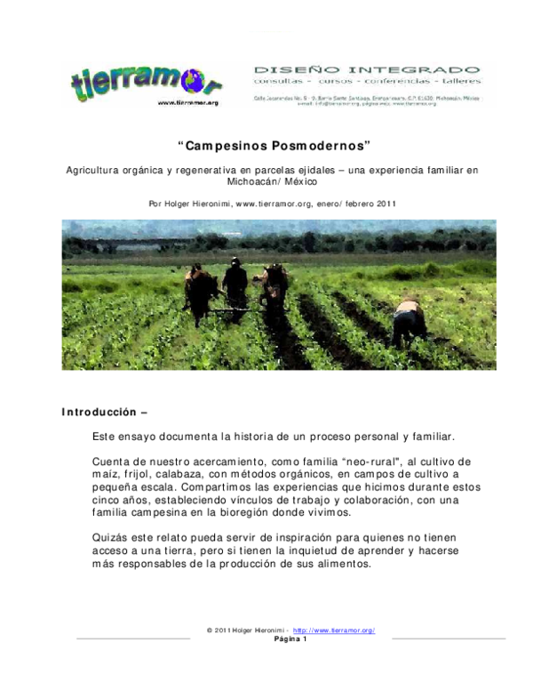 Essay on campesinos 08 picture