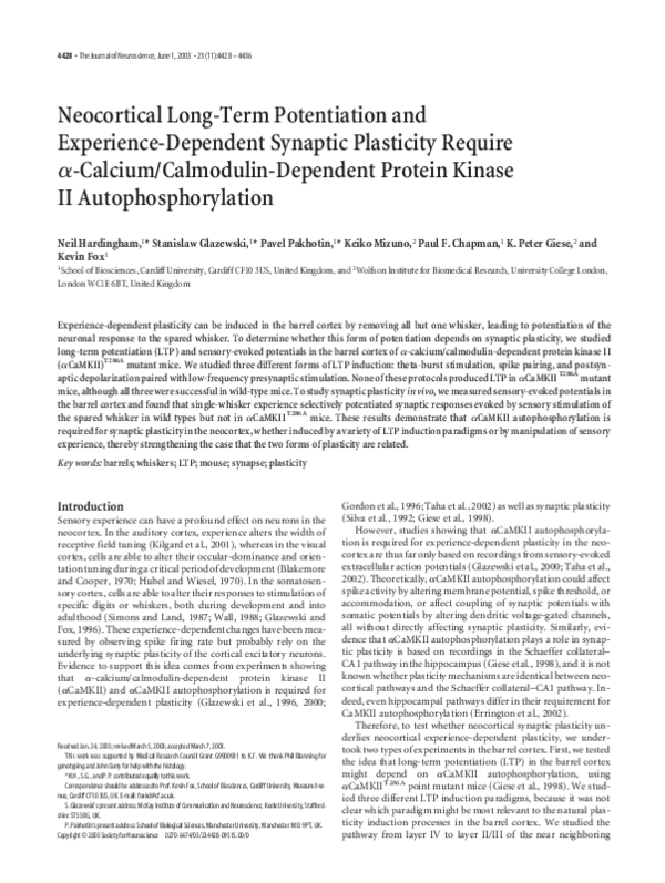 Thesis on calmodulin picture