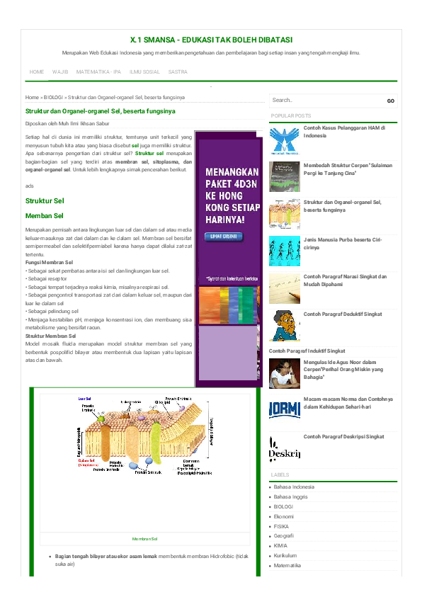 Pdf Struktur Dan Organel Organel Sel Beserta Fungsinya