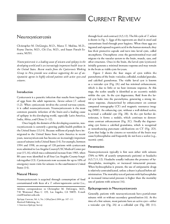 Essay on neurocysticercosis image