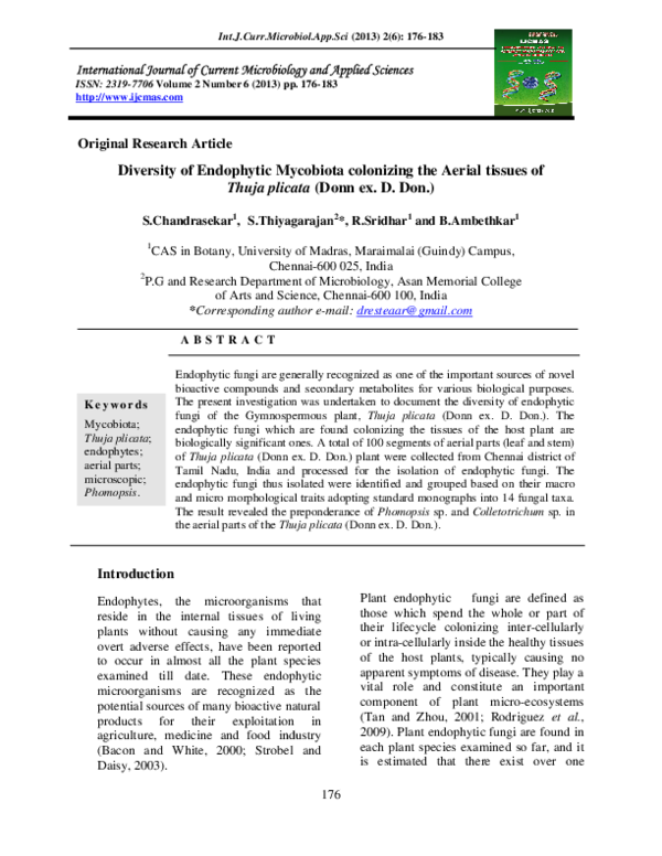 (PDF) Diversity of Endophytic Mycobiota colonizing the aerial tissue of ...