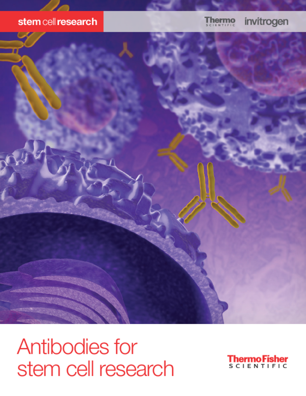 (PDF) Antibodies for Stem Cell Research Prof. Hesham N Mustafa