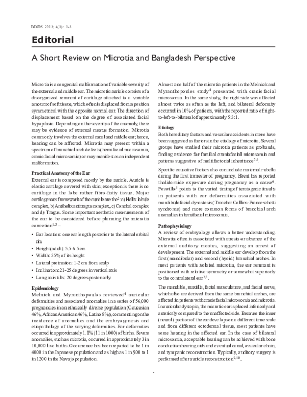 Microtia essay 08 image