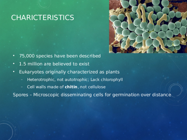 ppt-introductory-mycology-john-a-lucci-academia-edu