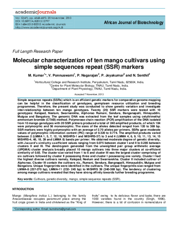 Mango dental dashboard image