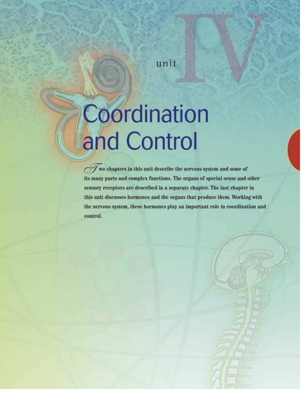 (PDF) THE NERVOUS SYSTEM THE SPINAL CORD AND SPINAL NERVES