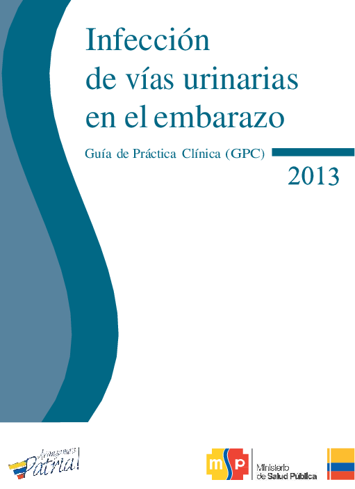 Pdf G P C Ivu Denisse Tello Academiaedu