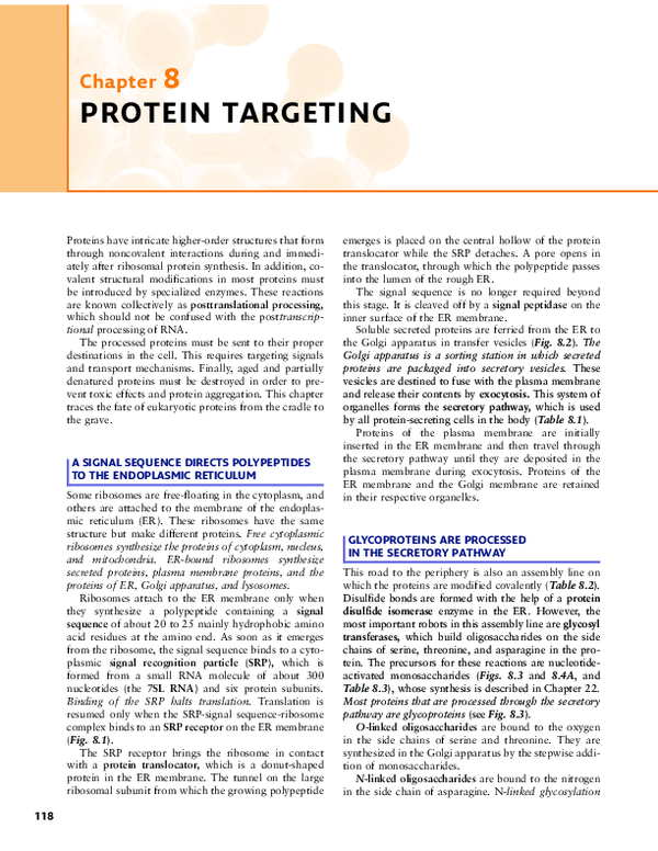 (PDF) PROTEIN TARGET