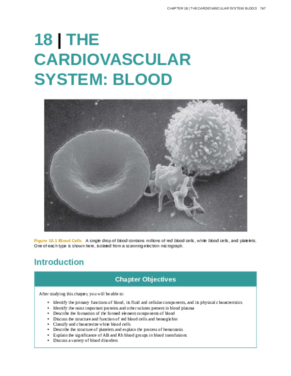 (PDF) 8 | THE CARDIOVASCULAR SYSTEM: BLOOD