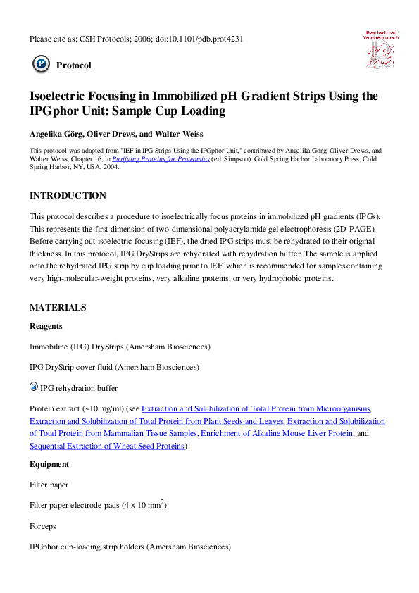 Isoelectric focusing gel image