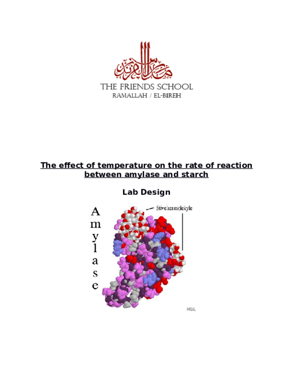 (DOC) The affect of temperature on the digestion enzyme