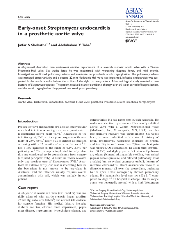 Endocarditis essays 06 image