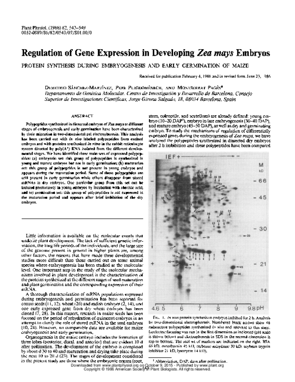 (PDF) Regulation of Gene Expression in Developing Zea mays Embryos ...