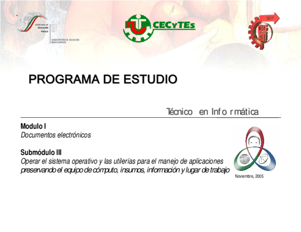 (PDF) Reforma Curricular del Bachillerato Tecnológico Estructura y