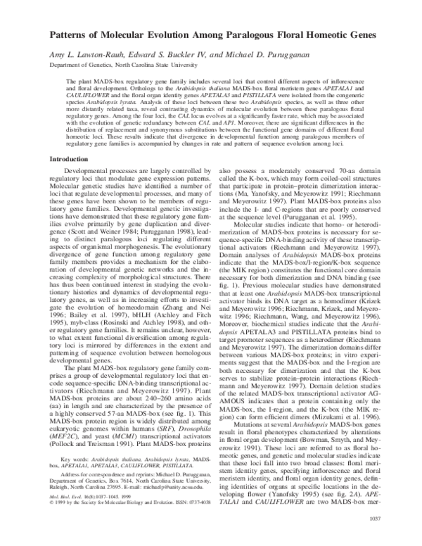 (PDF) Patterns of molecular evolution among paralogous floral homeotic ...