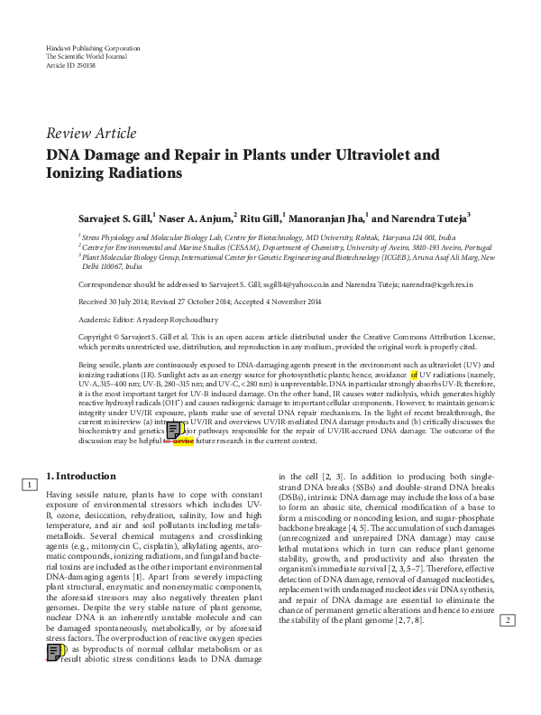 (PDF) DNA Damage and Repair in Plants under Ultraviolet and Ionizing ...