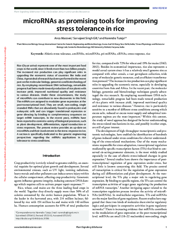 (PDF) microRNAs as promising tools for improving stress tolerance in rice