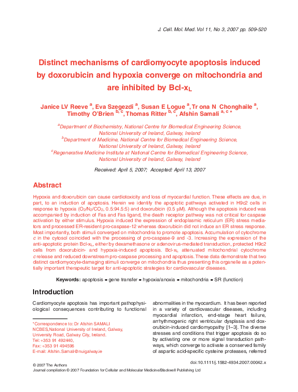 (PDF) Distinct mechanisms of cardiomyocyte apoptosis induced by ...