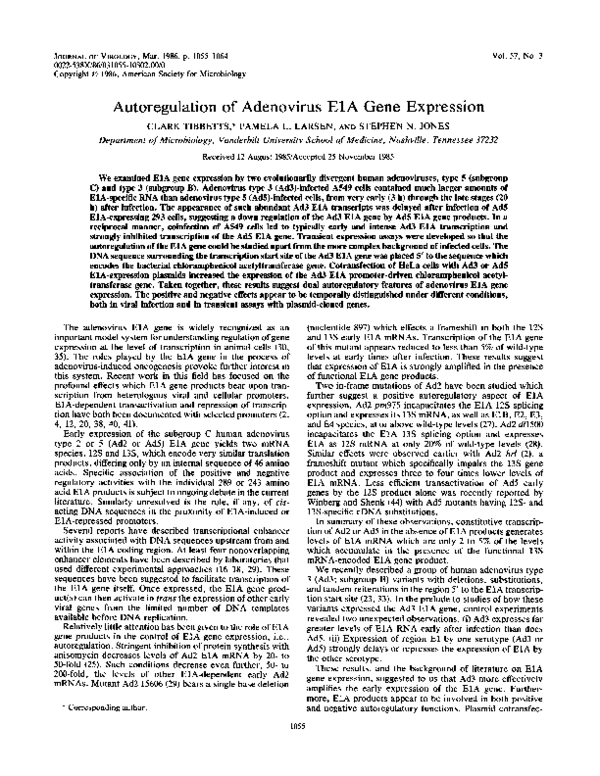 (PDF) Autoregulation of adenovirus E1A gene expression