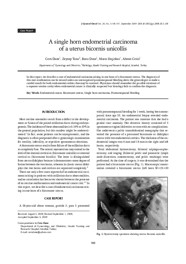 (PDF) A single horn endometrial carcinoma of a uterus bicornis
