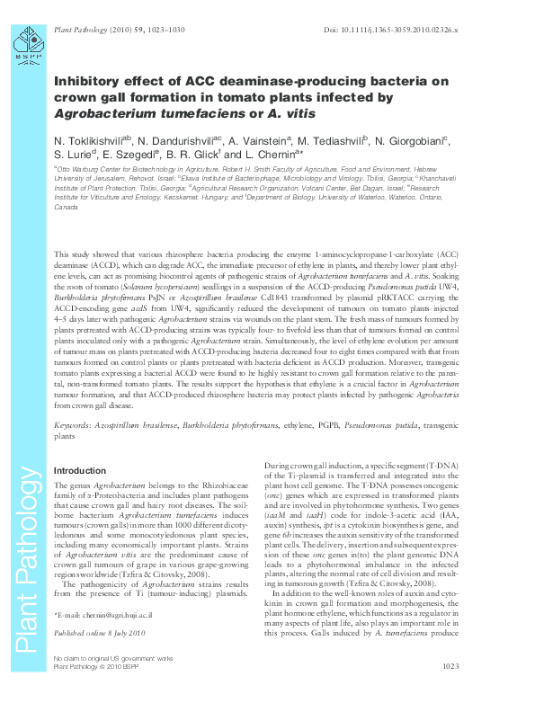 (PDF) ACC deaminase-producing bacteria inhibit crown gall formation in