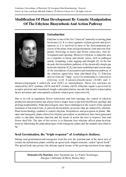 Ethylene hormone function image