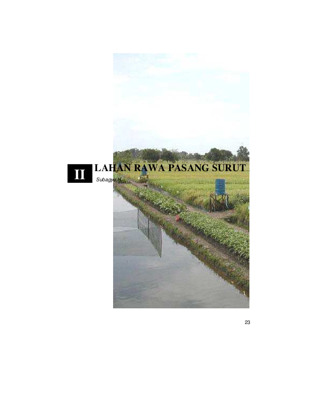 (PDF) Lahan Rawa