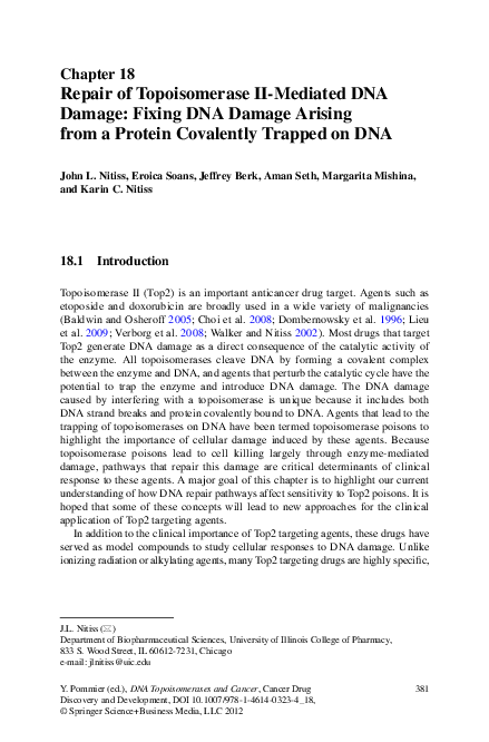 (PDF) Repair of Topoisomerase II-Mediated DNA Damage: Fixing DNA Damage ...