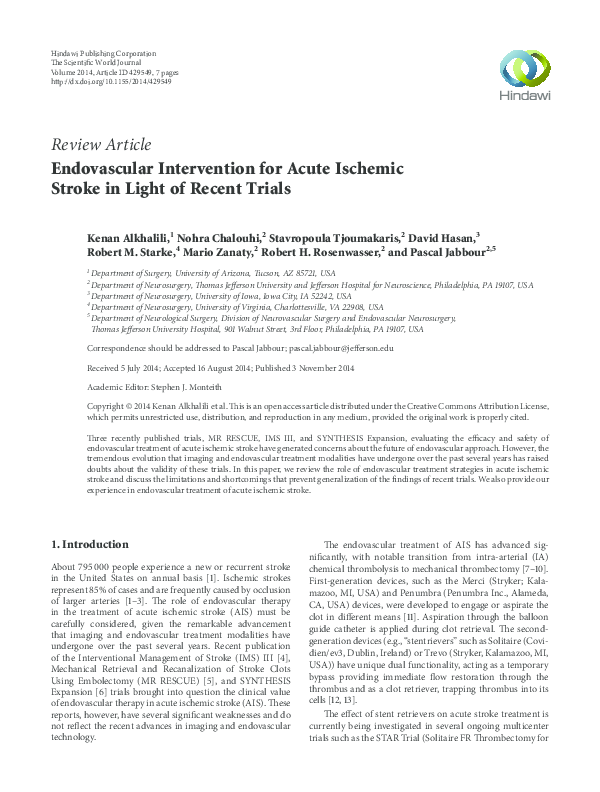 (PDF) Endovascular Intervention for Acute Ischemic Stroke in Light of ...