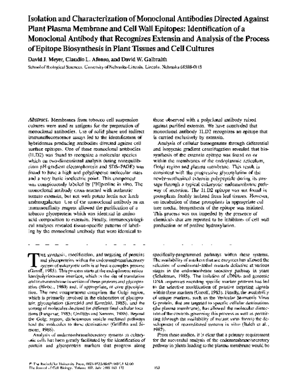 (PDF) Isolation and characterization of monoclonal antibodies directed ...