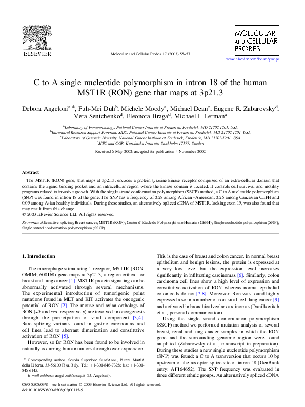 (PDF) C to A single nucleotide polymorphism in intron 18 of the human ...