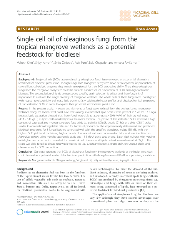 (PDF) Single cell oil of oleaginous fungi from the tropical mangrove ...