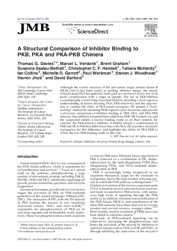 (PDF) A Structural Comparison of Inhibitor Binding to PKB, PKA and PKA ...