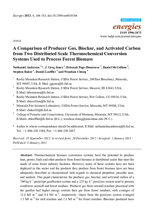 (PDF) A Comparison of Producer Gas, Biochar, and Activated Carbon from ...