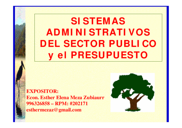 (PDF) Sistemas Administrativos