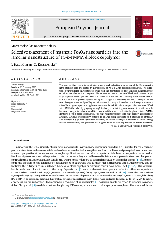 (PDF) Selective placement of magnetic Fe3O4 nanoparticles into the ...
