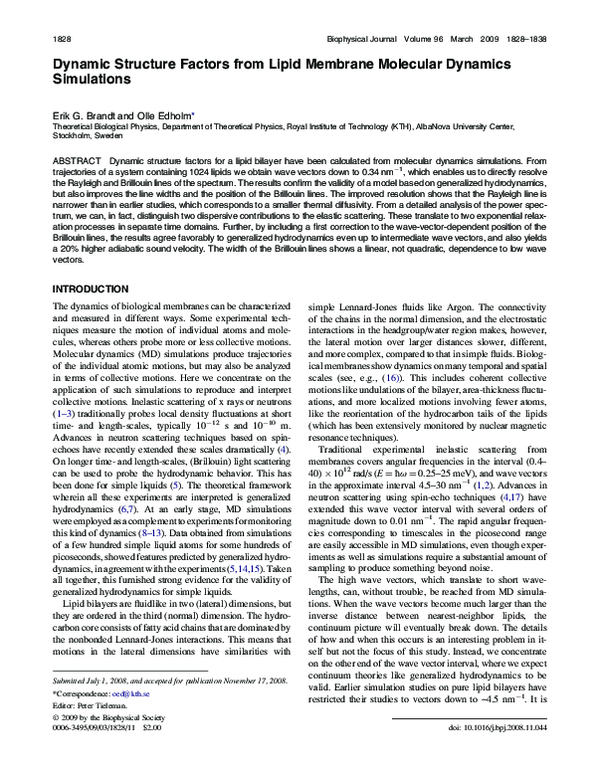 (PDF) Dynamic Structure Factors from Lipid Membrane Molecular Dynamics ...