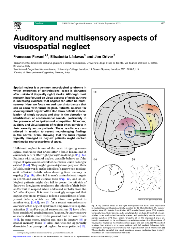 (PDF) Auditory and multisensory aspects of visuospatial neglect