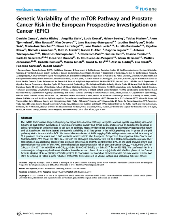 (PDF) Genetic Variability of the mTOR Pathway and Prostate Cancer Risk ...