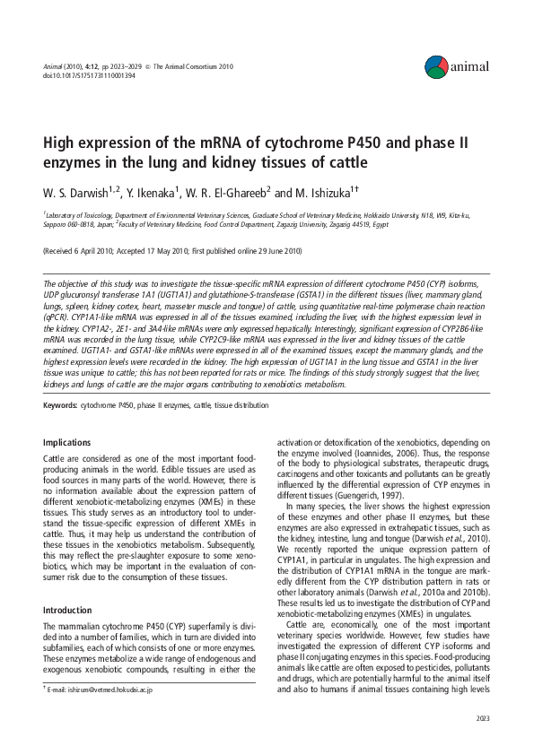 (PDF) High expression of the mRNA of cytochrome P450 and phase II ...