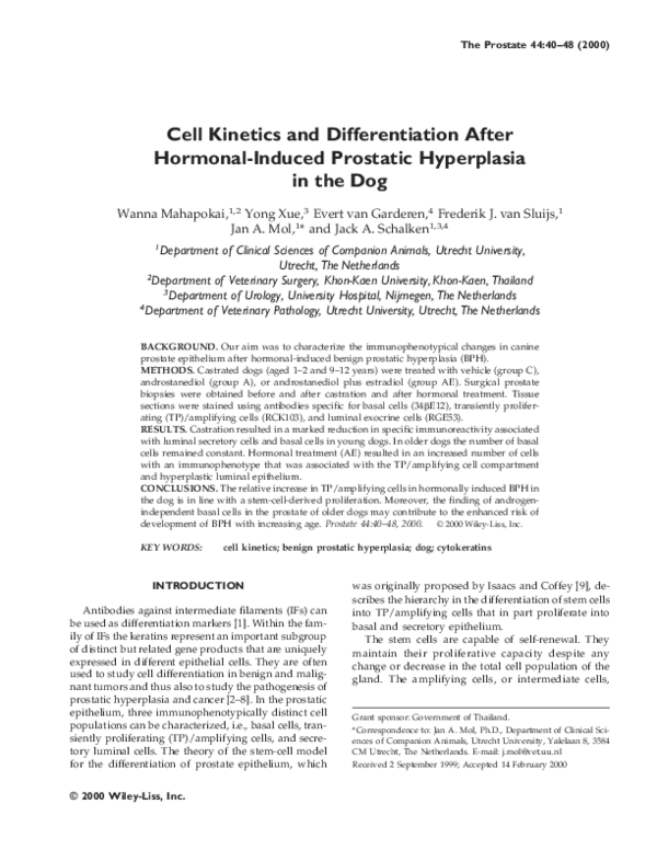 (PDF) Cell kinetics and differentiation after hormonal-induced ...