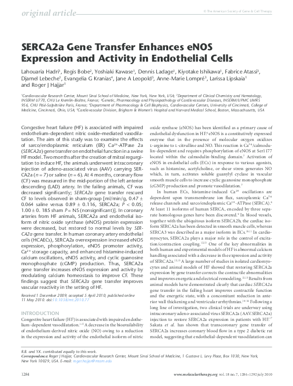 (PDF) SERCA2a Gene Transfer Enhances eNOS Expression and Activity in ...
